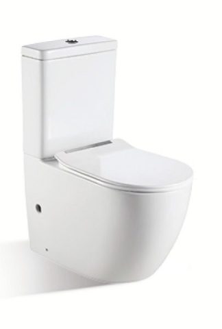 Ascoli Rimless Back To Wall Toilet Suite