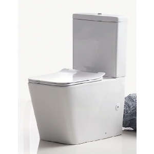 Caserta Rimless Flushing Back To Wall Toilet Suite