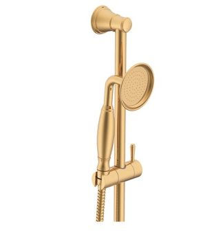 ADP Eternal Hand Shower On Rail Brushed Brass
