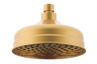 ADP Eternal Shower Rose Brushed Brass